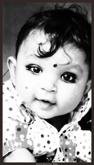 DSC07241-bw